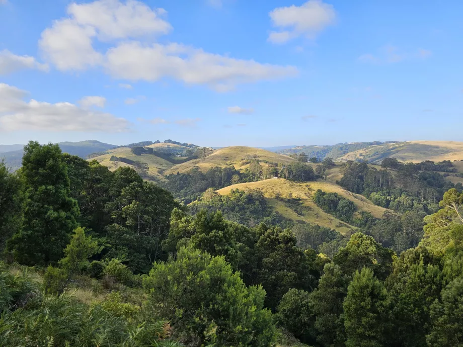 Great Otway National Park