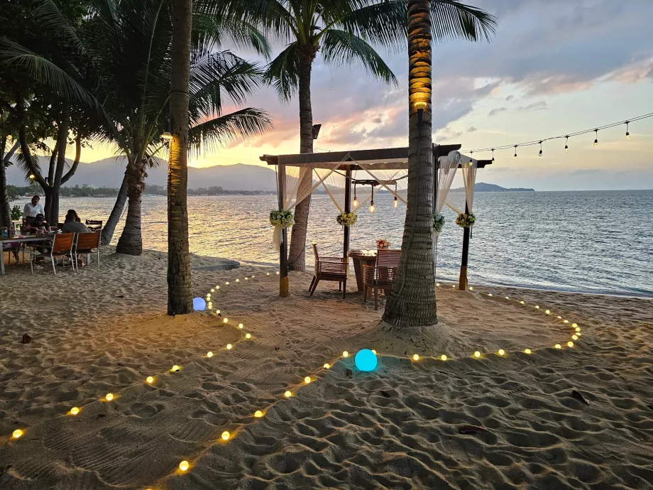 Romantiske siddepladser (betalt service)