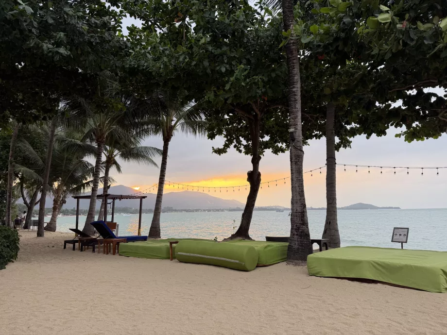 Hotelstrand med liggestole ved solnedgang