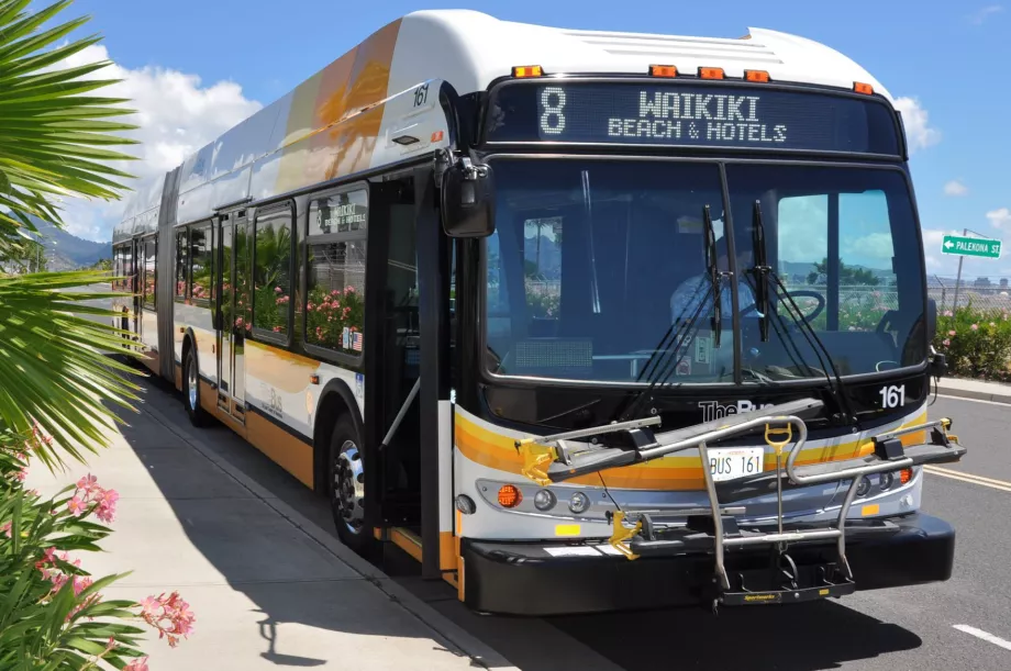 Bus Oahu
