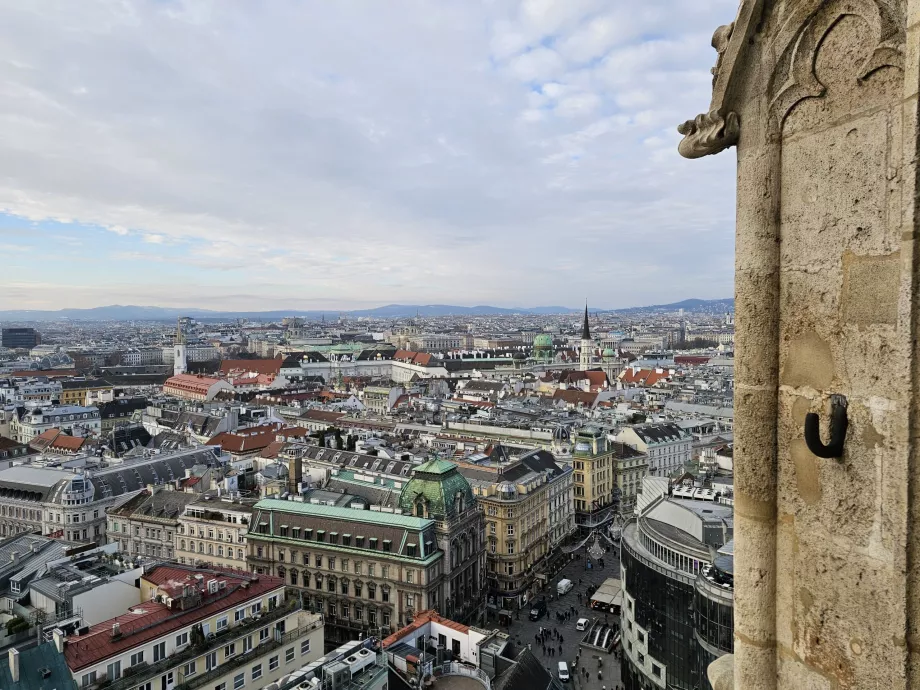 Udsigt fra det sydlige tårn