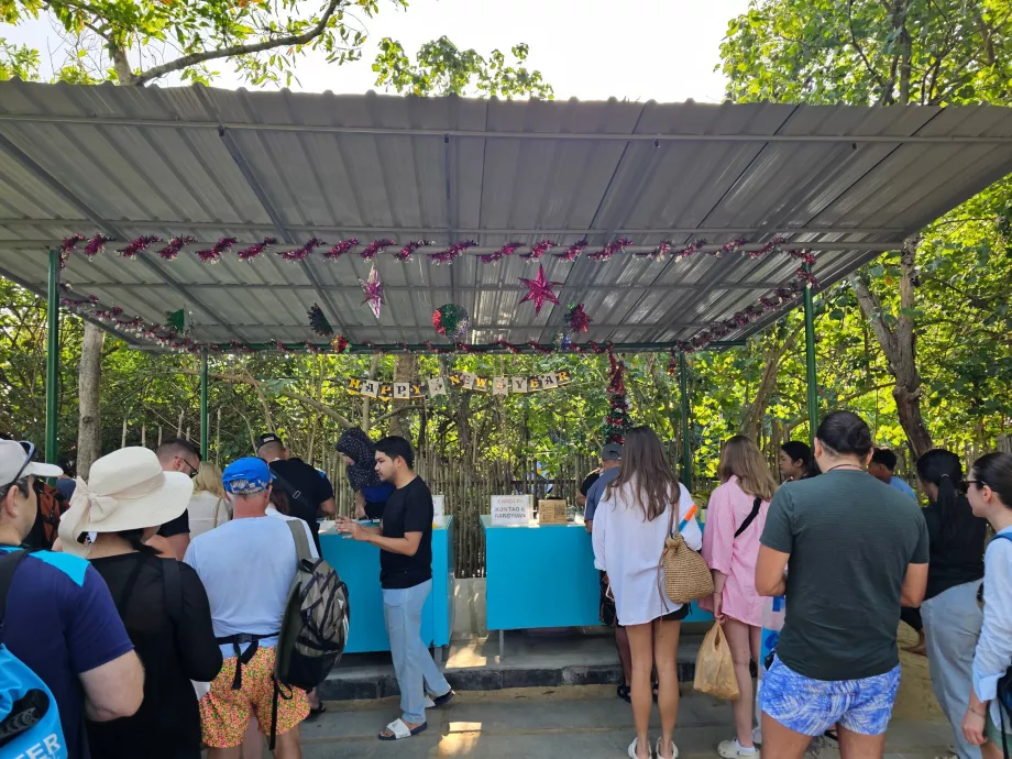 Check-in før afgang ved kajen (og betaling af entré til nationalparken)