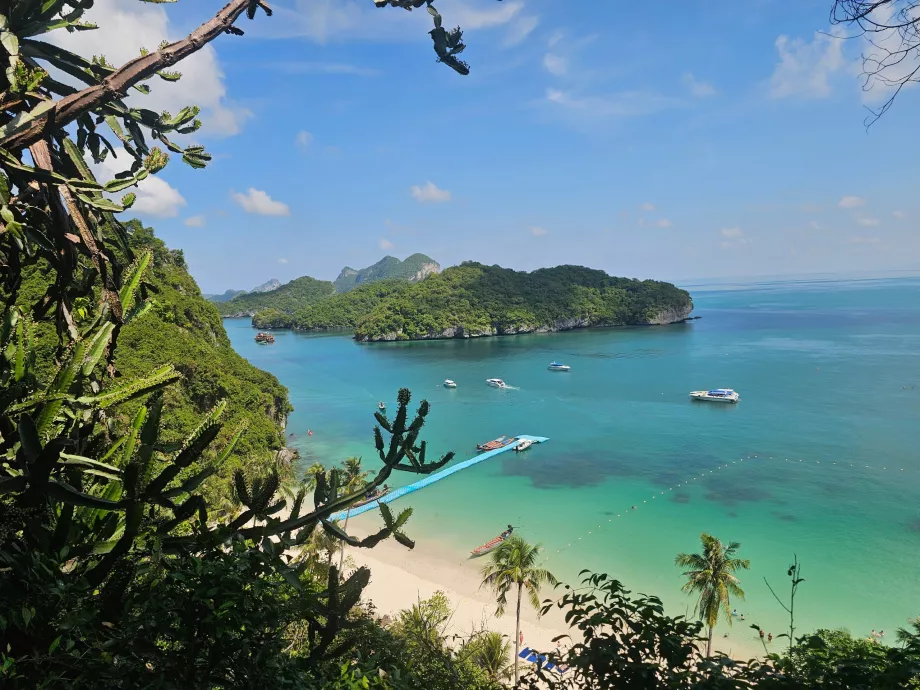 Sti til det højeste udsigtspunkt