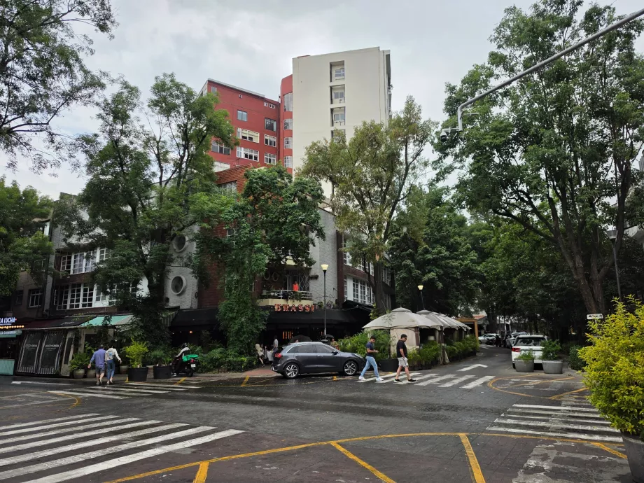 Polanco