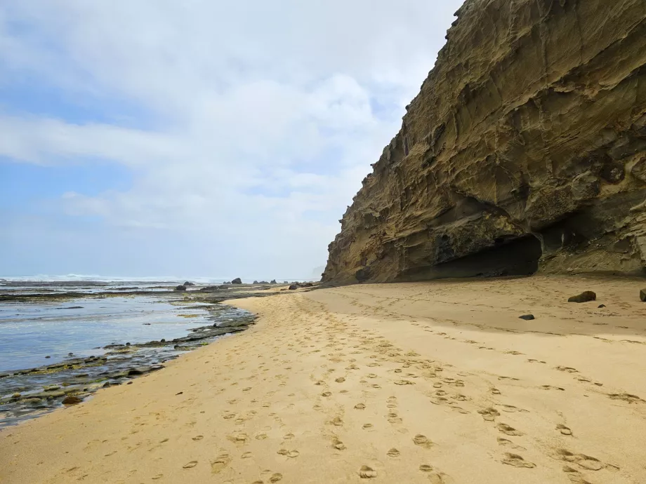 Skibsvragets strand