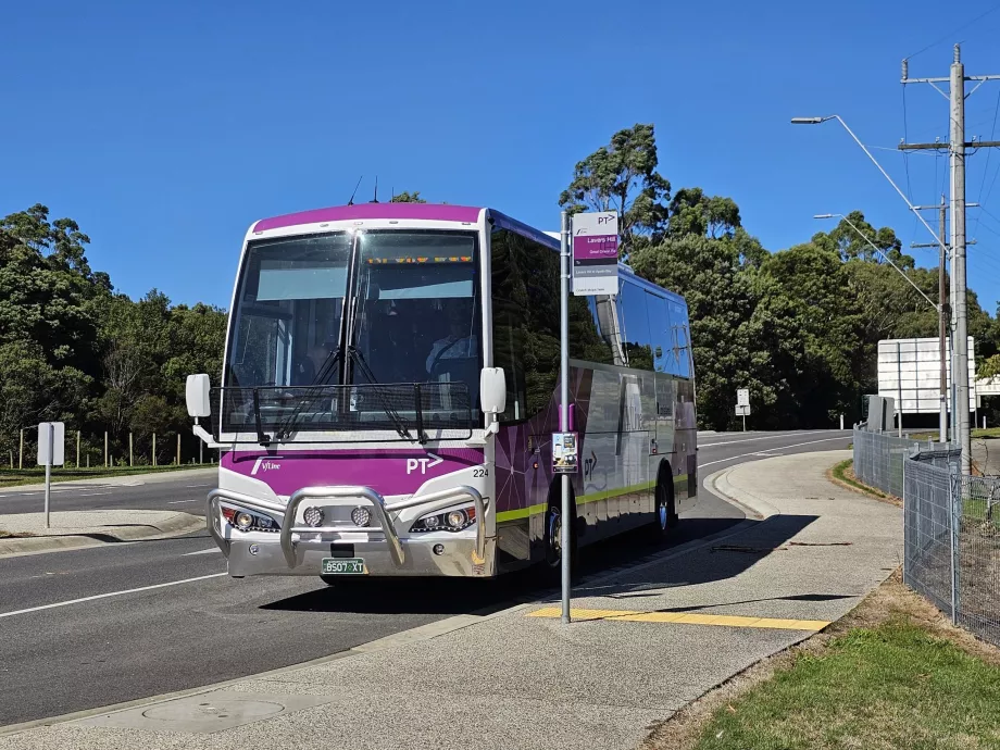 Bus V/Line