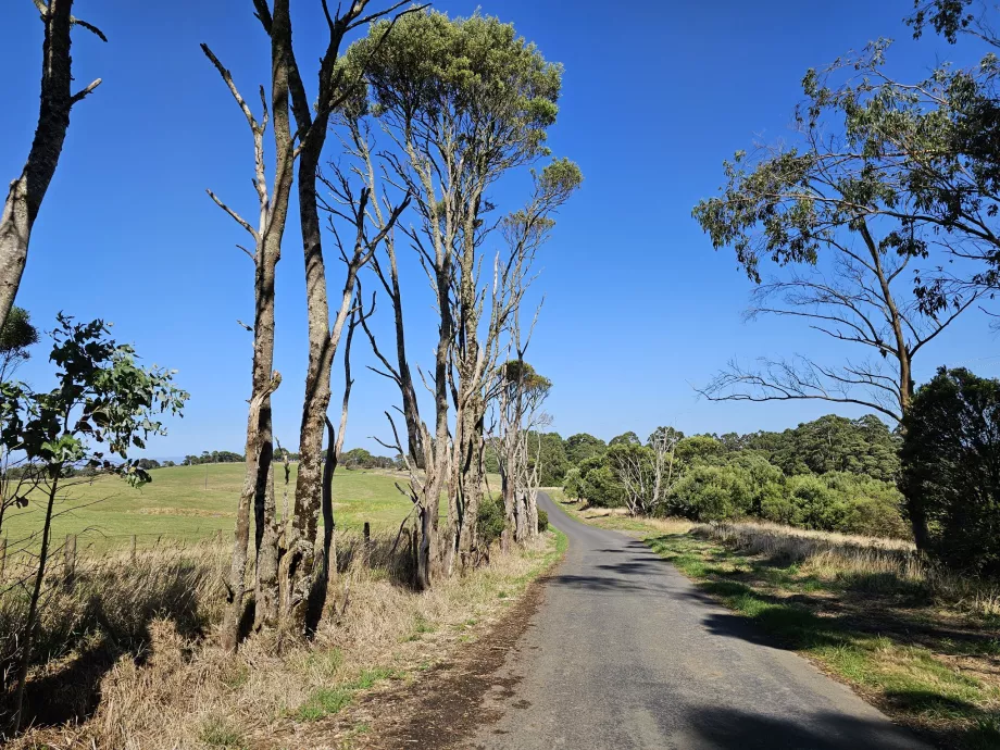 Great Otway National Park