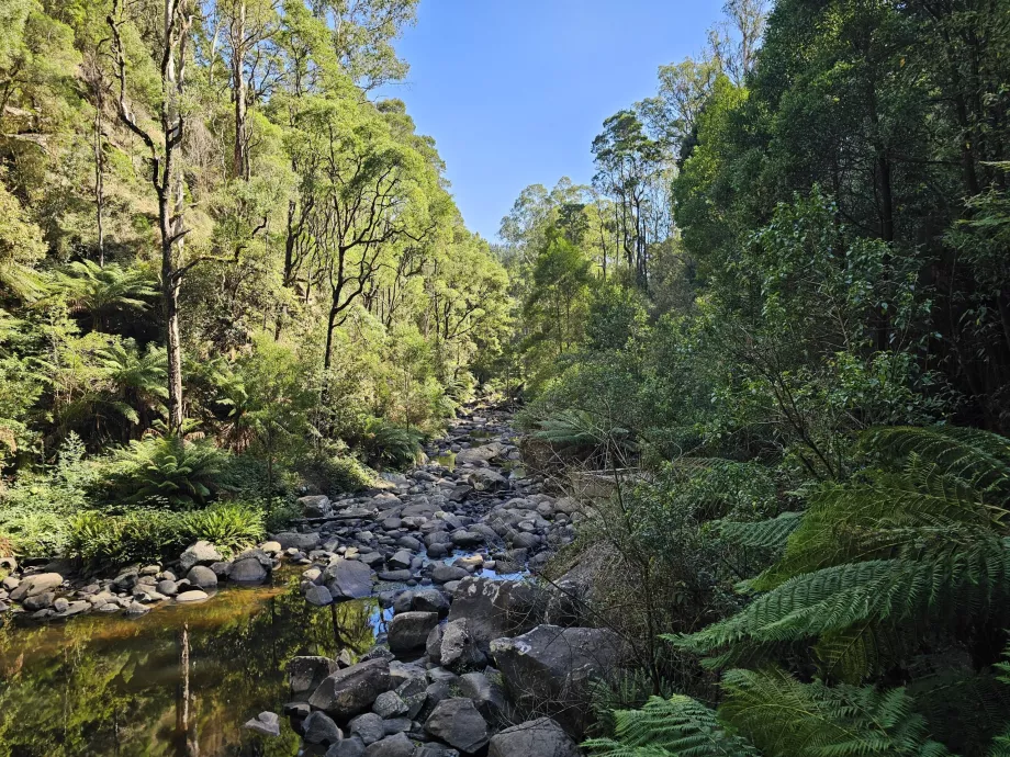 Stevenson Falls