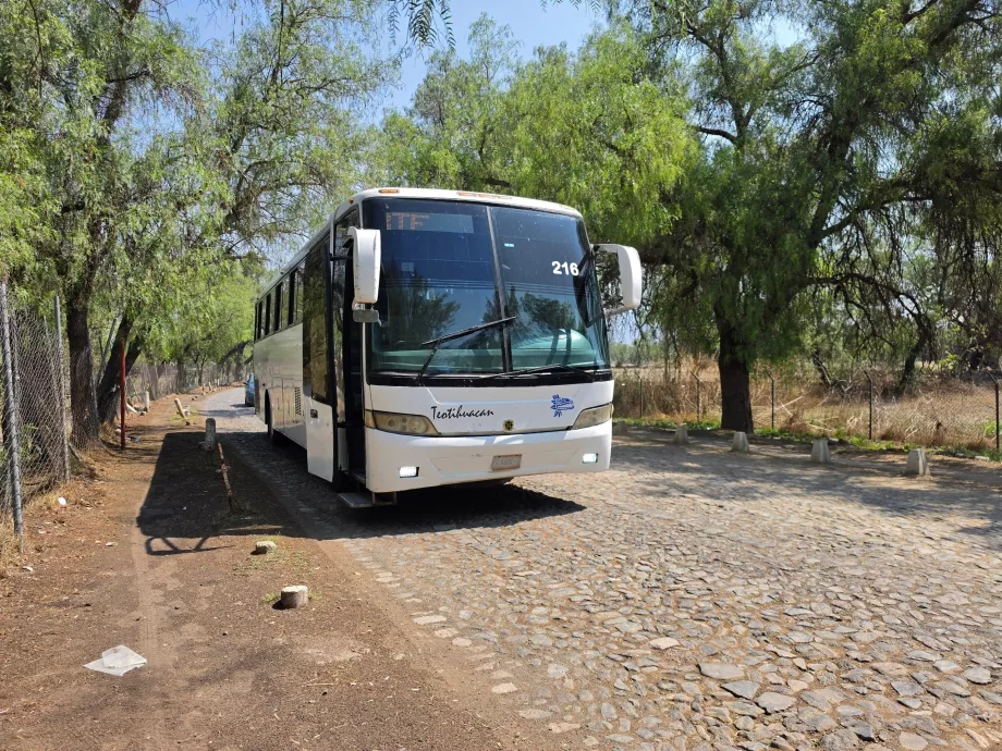 Bus Teotihuacán <-> Mexico City