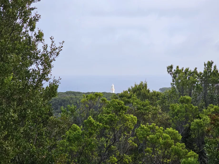 En af de få udsigter til fyrtårnet fra Great Ocean Walk
