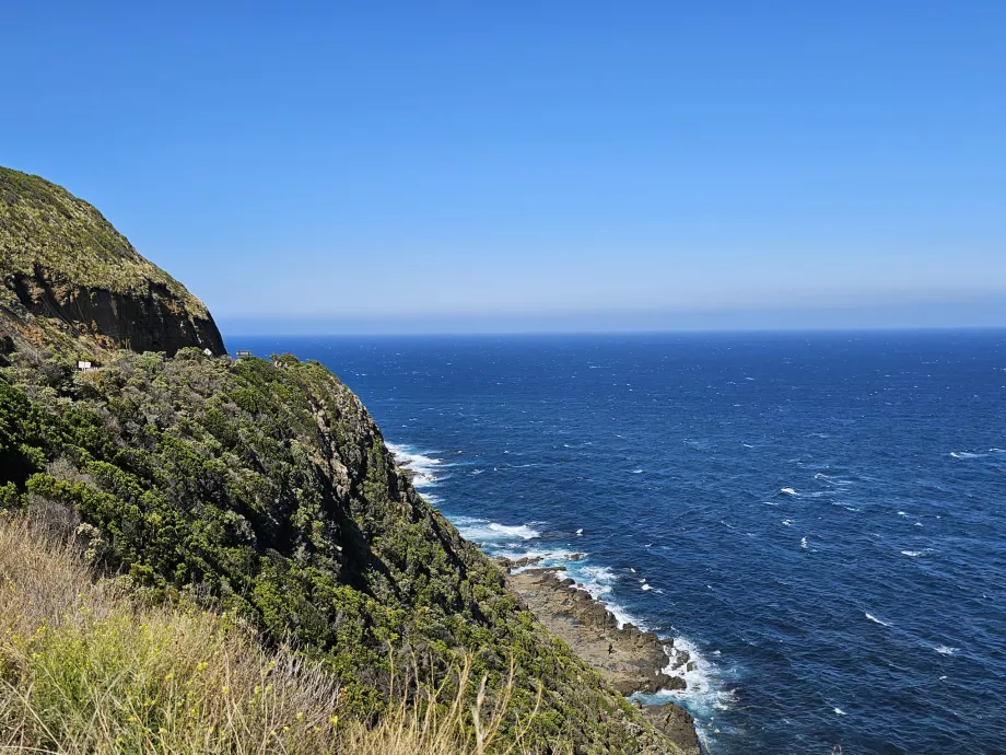Cape Patton