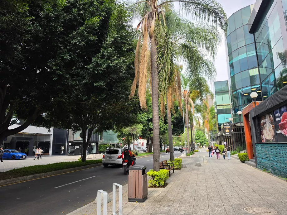 Polanco