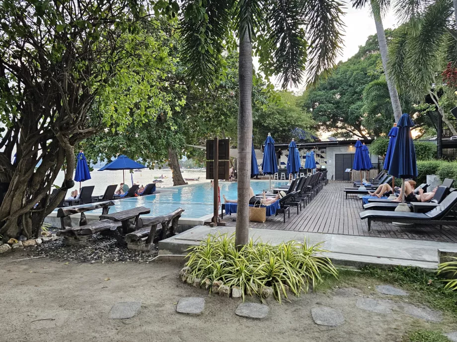 Swimmingpool med liggestole