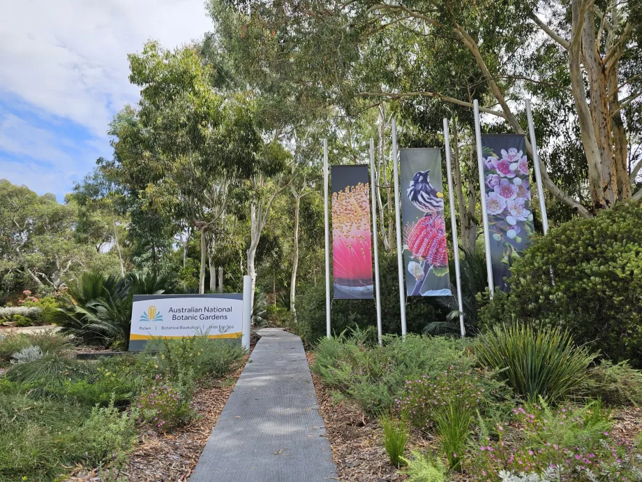 Botanisk have