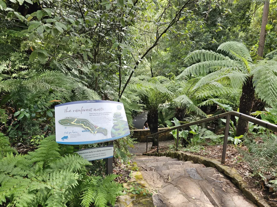 Botanisk have