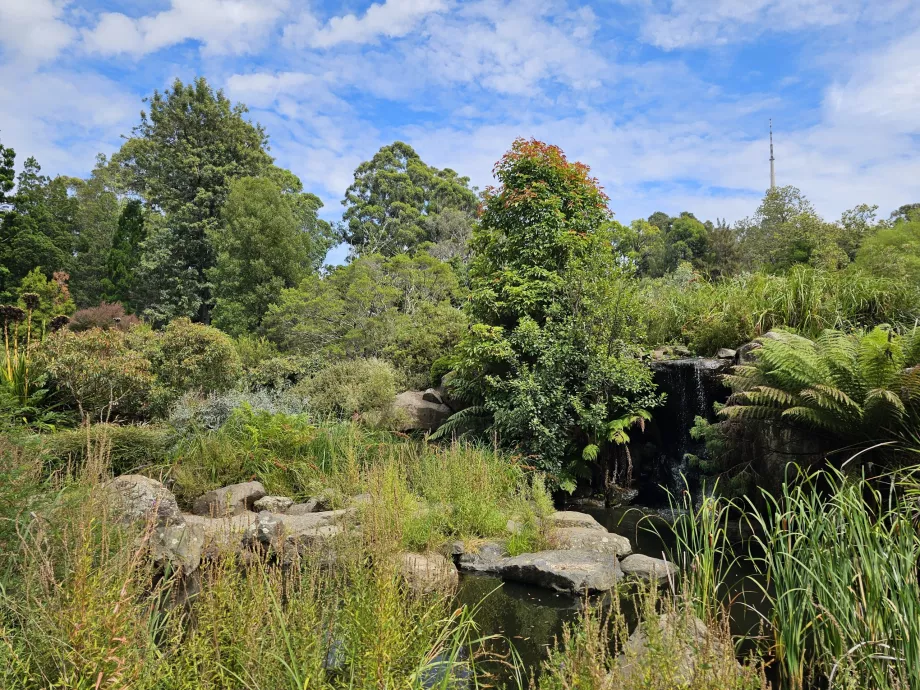 Botanisk have