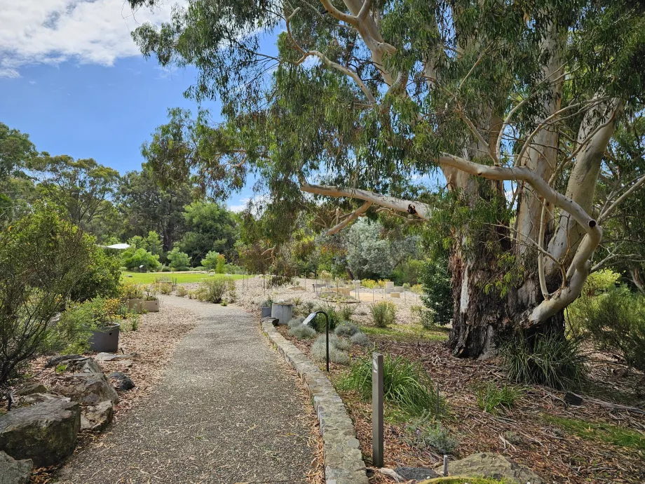 Botanisk have