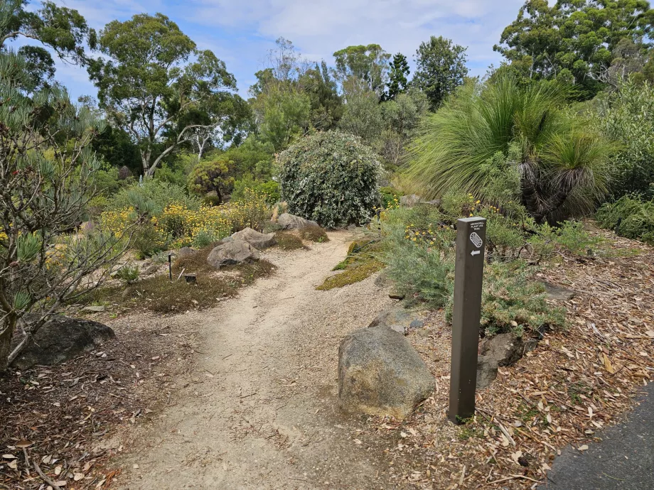 Botanisk have