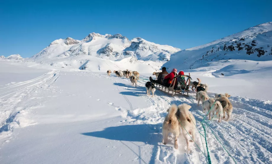 Hundeslædekørsel i Grønland
