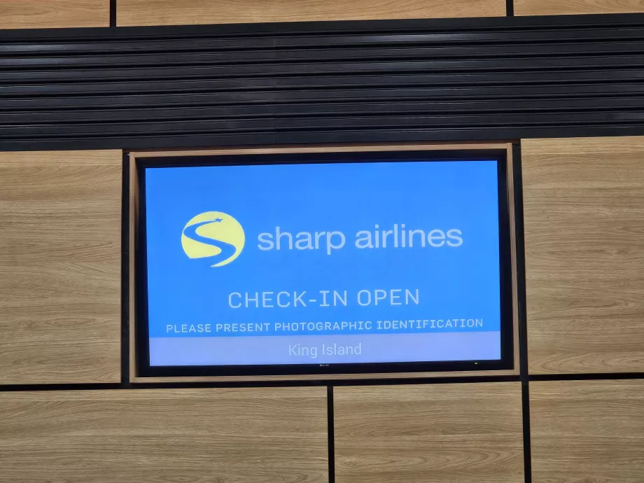 Check-in i lufthavnen