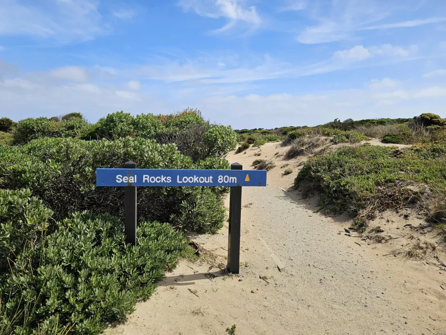Seal Rocks