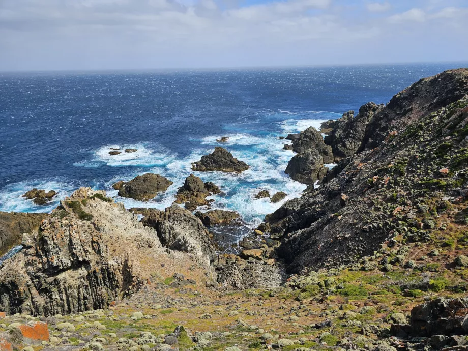 Seals Rock