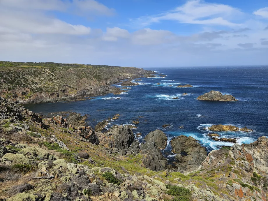 Seals Rock