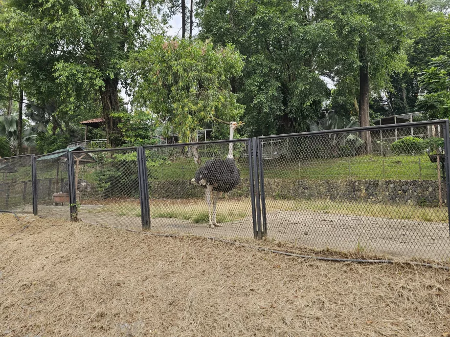 Fuglepark