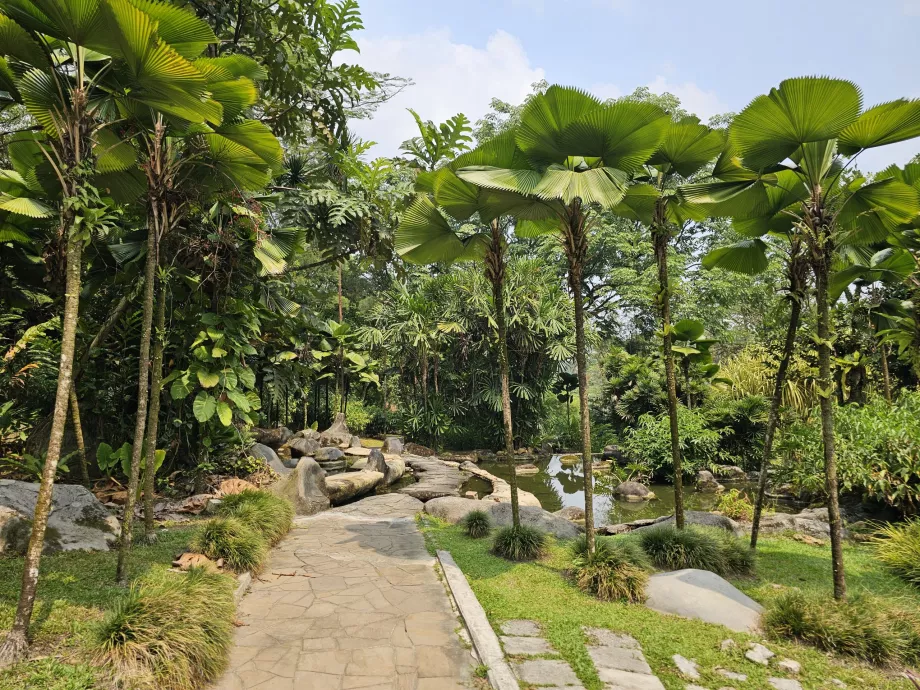 Botanisk have