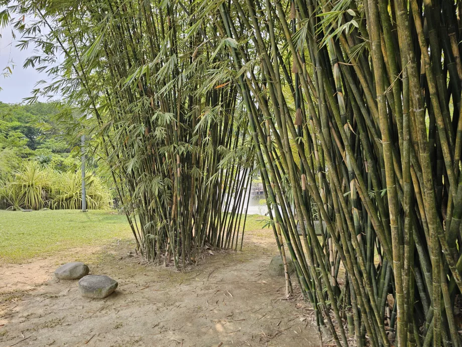 Botanisk have
