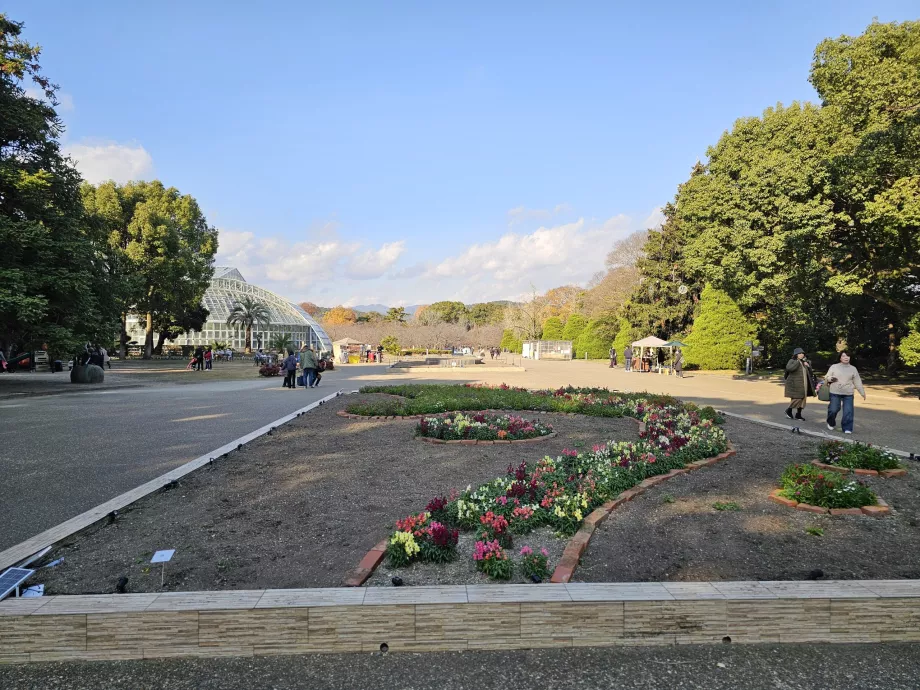 Kyoto Botaniske Have