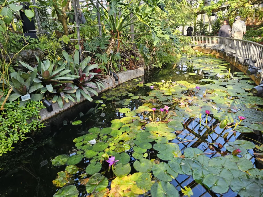 Kyoto Botaniske Have