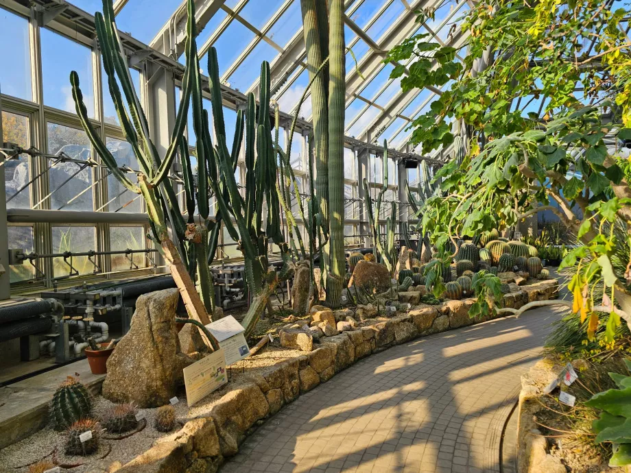 Kyoto Botaniske Have