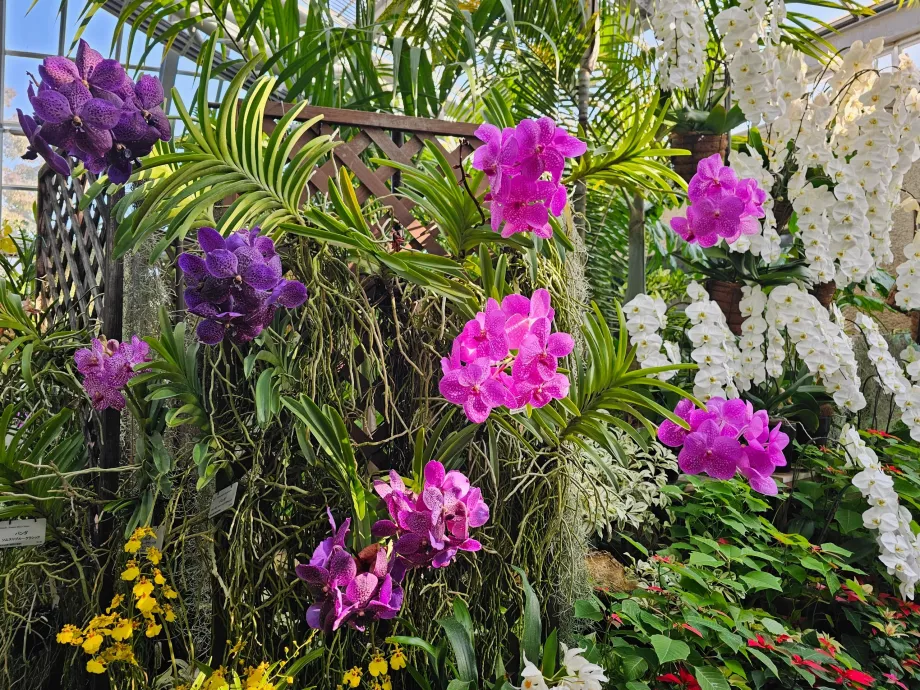 Kyoto Botaniske Have