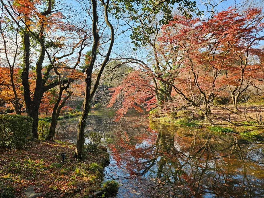 Kyoto Botaniske Have