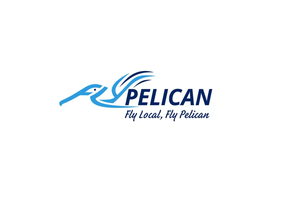 FlyPelican