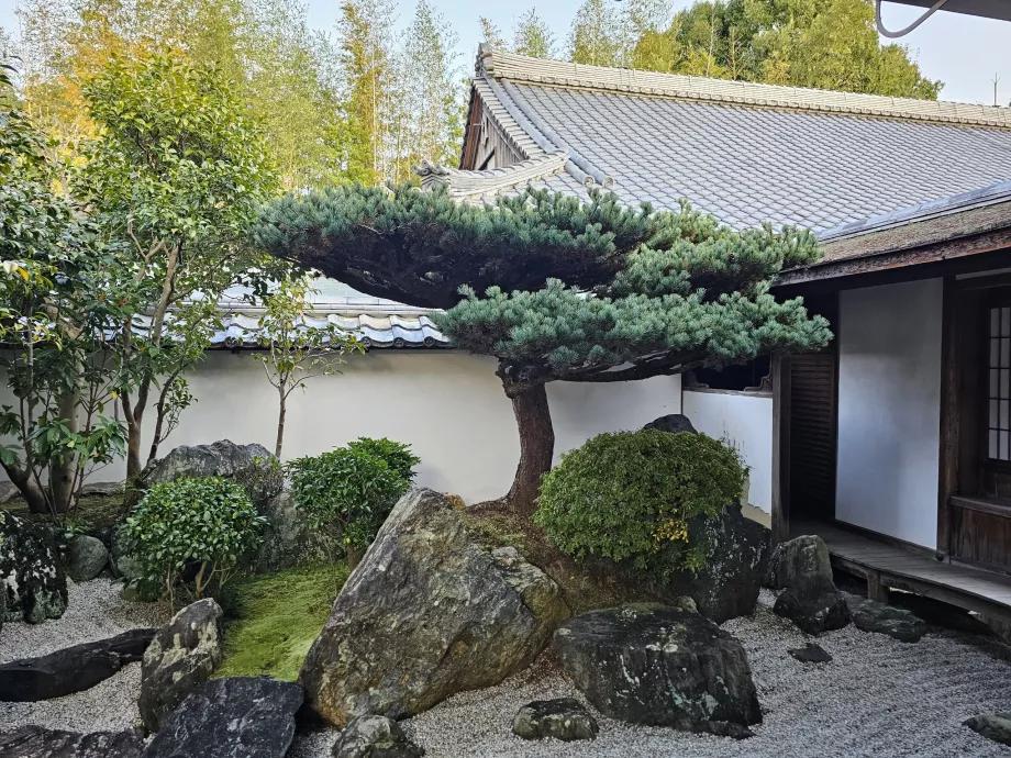 Daisen-in Zen Garden i Daitoku-ji