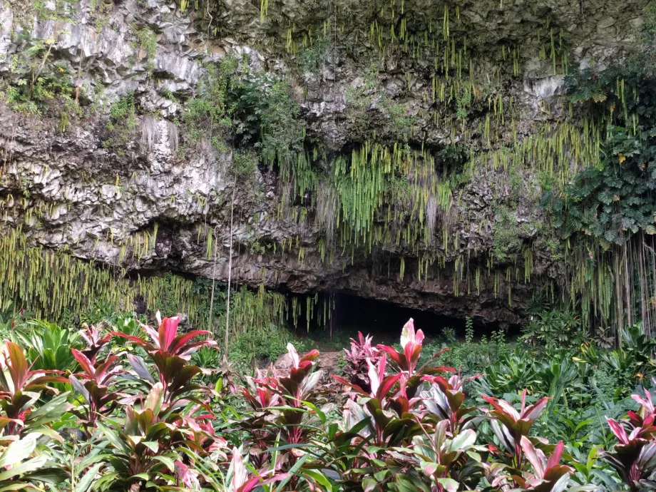Bregne-grotte