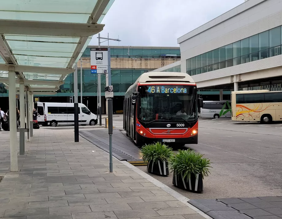 Busstoppested 46 ved Terminal 1