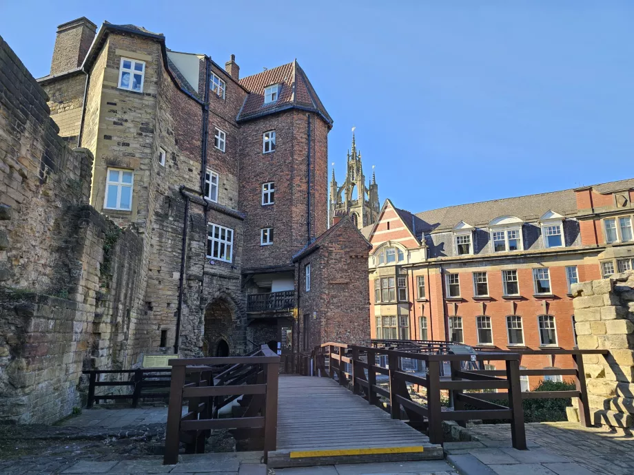 Newcastle Slot