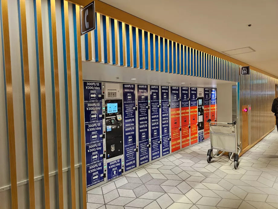 Skabe til opbevaring af bagage