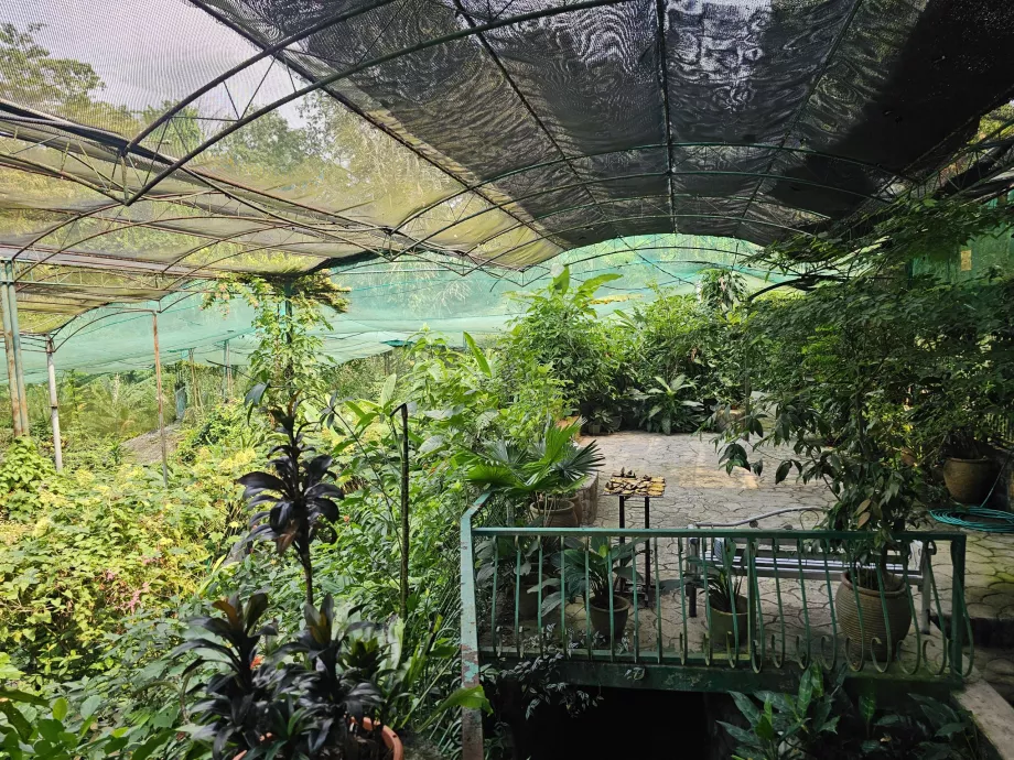 Sommerfuglepark