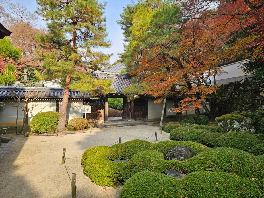 Chion-in-templet, haver