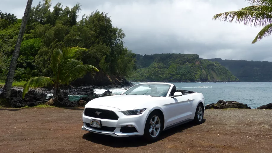 Biludlejning i Maui