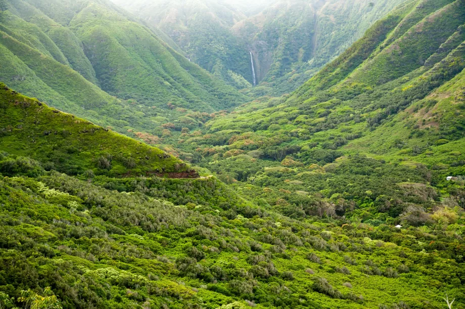 Halawa-dalen