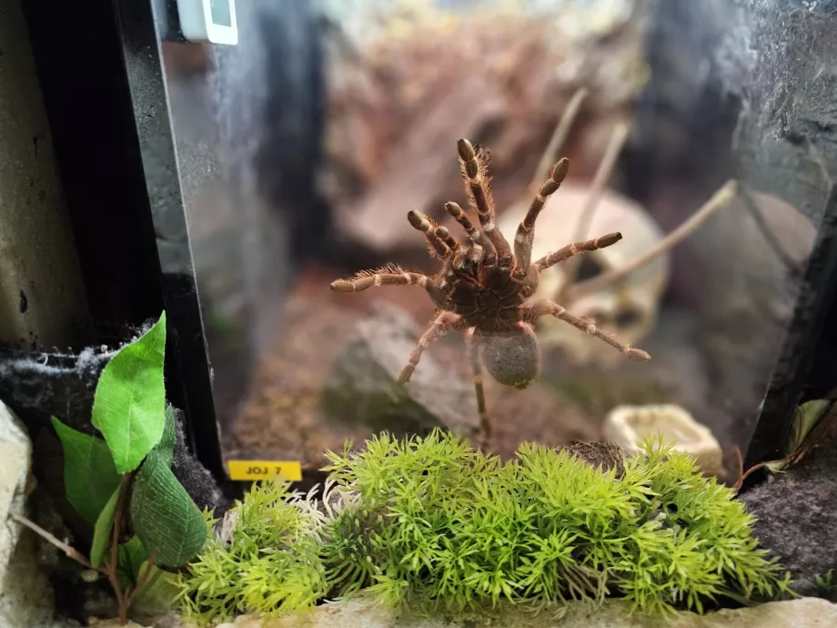 Akvarium