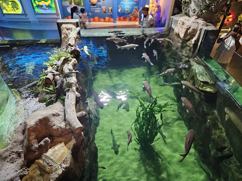 Akvarium