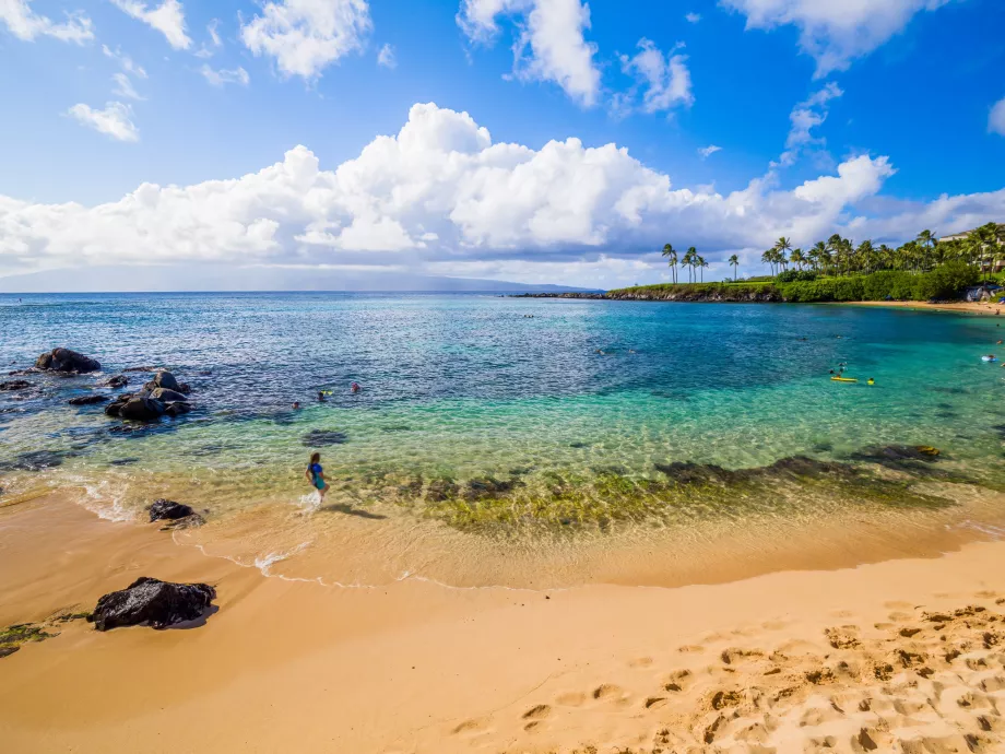 Kapalua-bugten