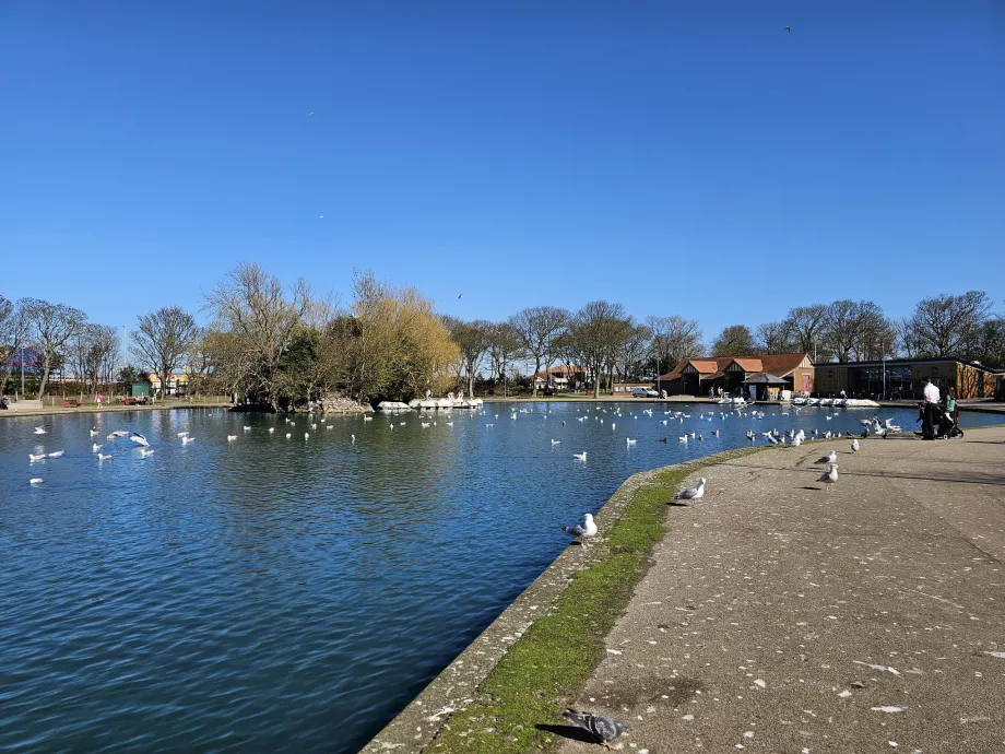 Sejlende sø