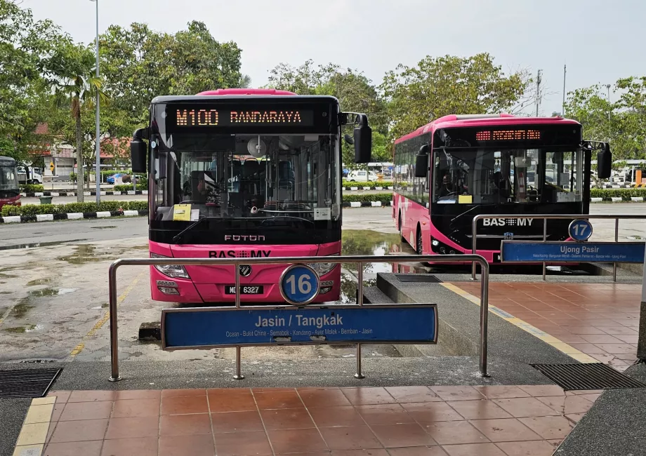 Bus 100 fra busstationen til centrum